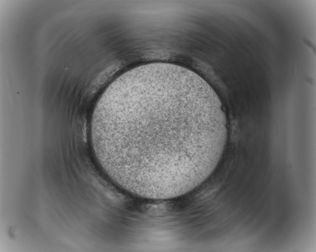 X0000103160068200809121847