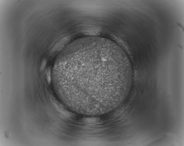 X0000103160069200809121847