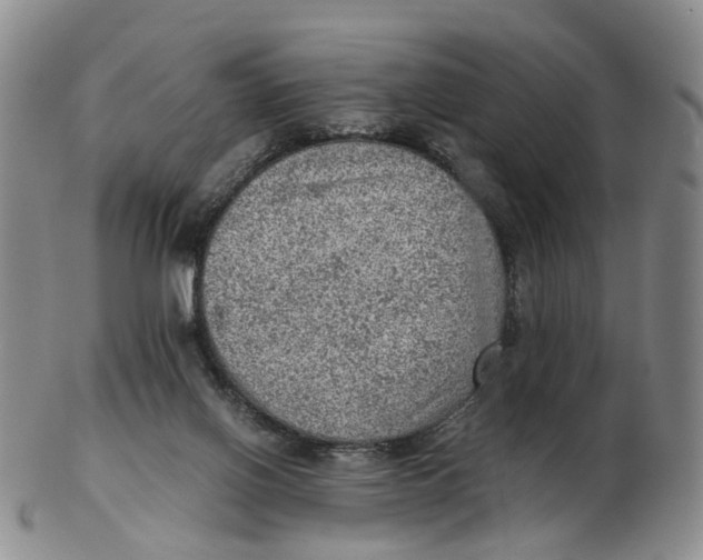 X0000103160070200809121847