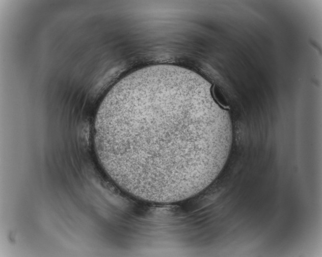 X0000103160072200809121847