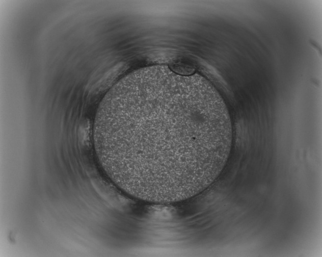 X0000103160073200809121847