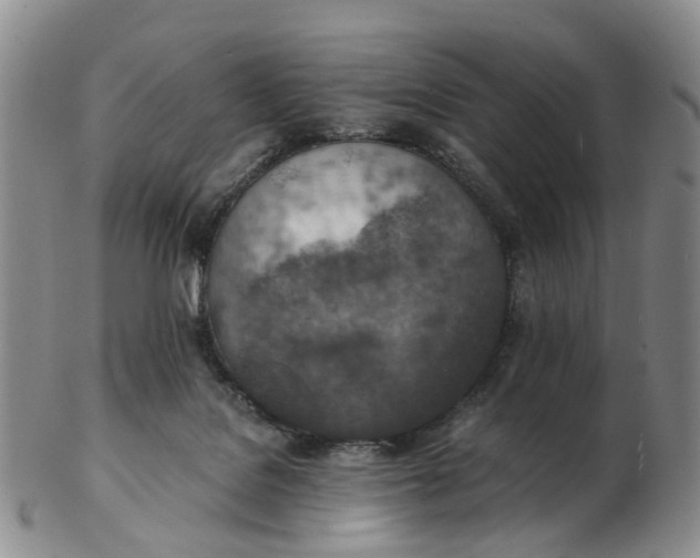 X0000103160076200809121847