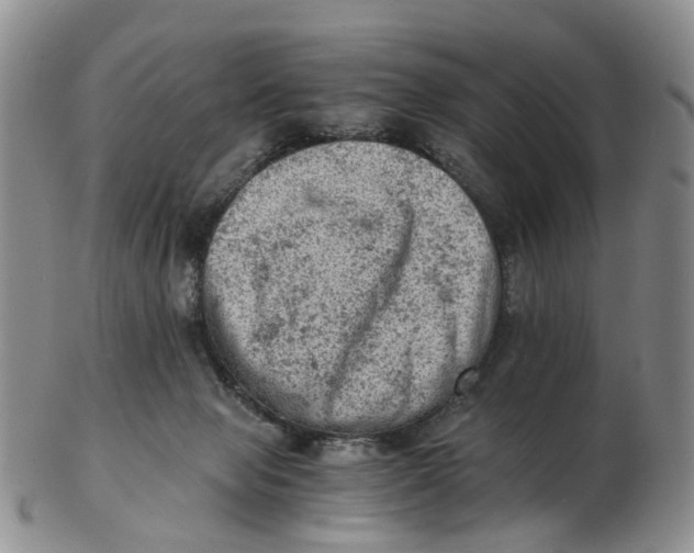 X0000103160077200809121847