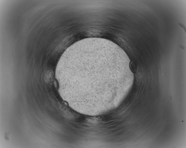 X0000103160079200809121847