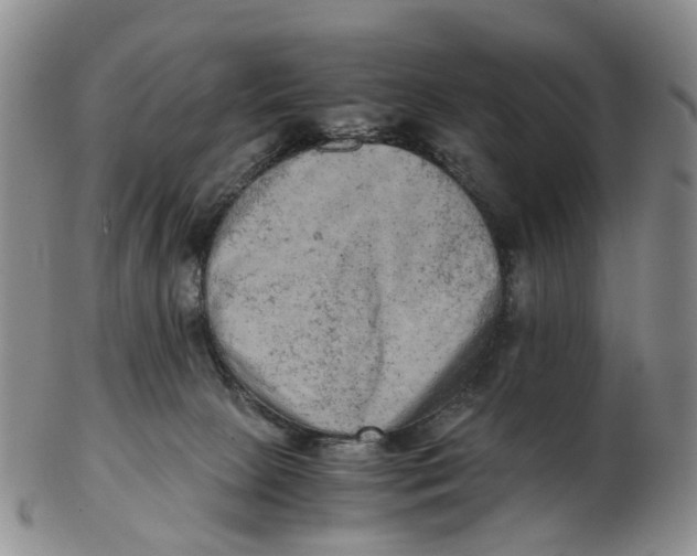 X0000103160081200809121847