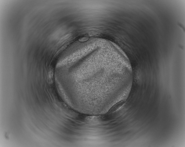 X0000103160082200809121847