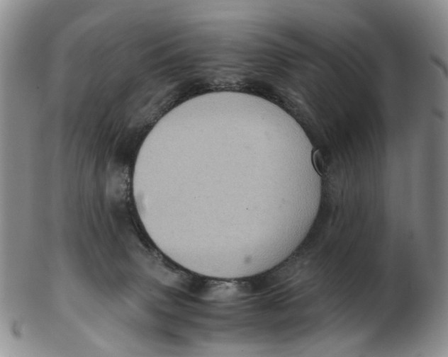 X0000103160083200809121847