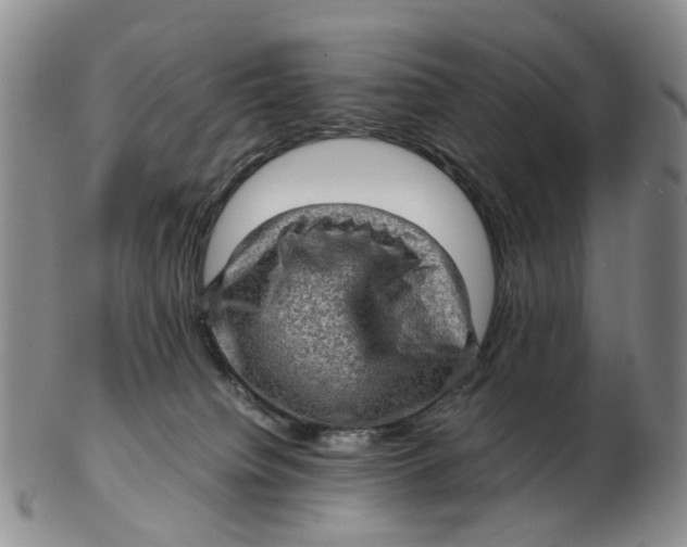 X0000103160084200809121847