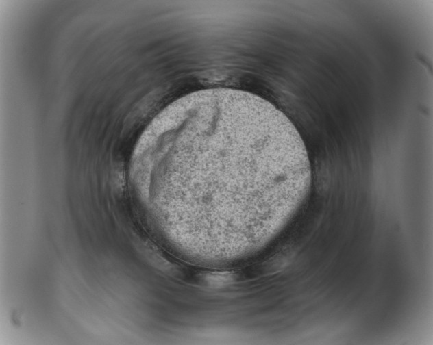 X0000103160085200809121847