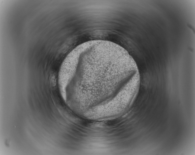 X0000103160086200809121847