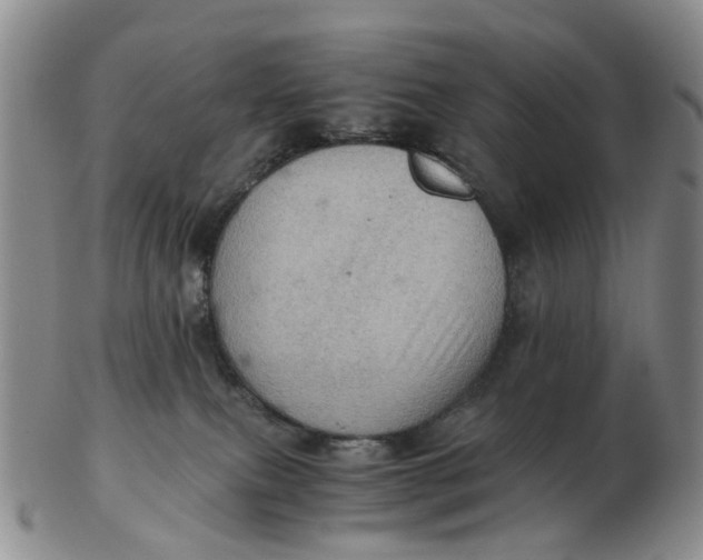 X0000103160087200809121847