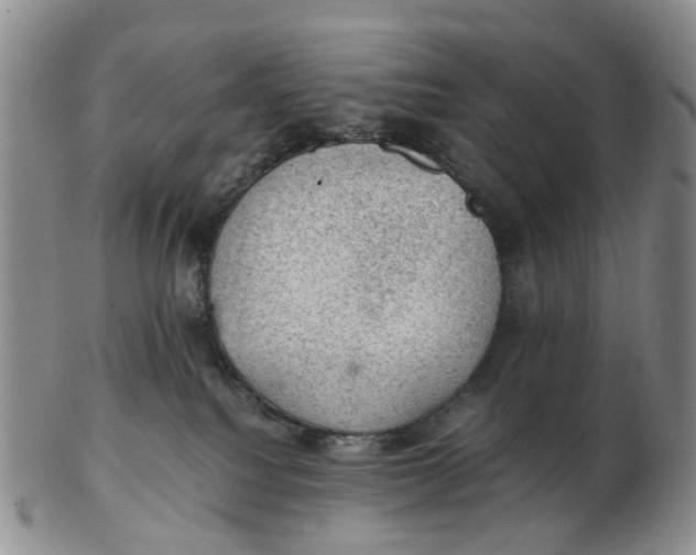 X0000103160088200809121847