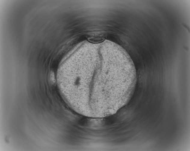 X0000103160089200809121847