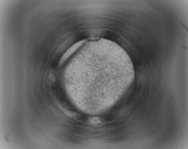 X0000103160091200809121847