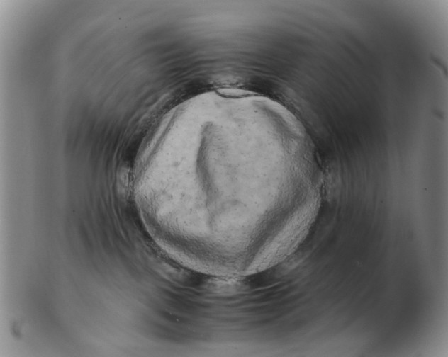 X0000103160093200809121847