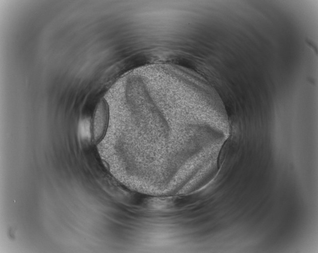 X0000103160094200809121847