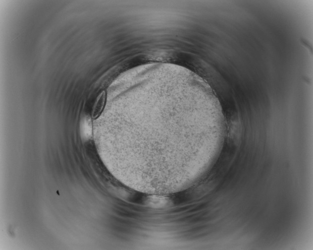 X0000103160095200809121847