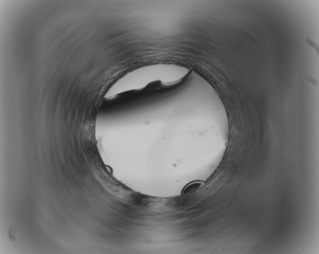 X0000103160096200809121847