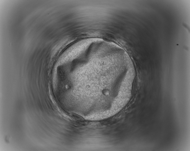 X0000103160097200809121847