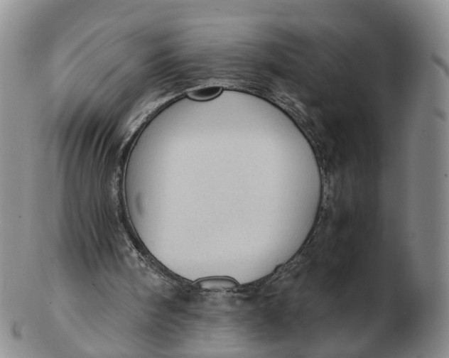 X0000103160098200809121847