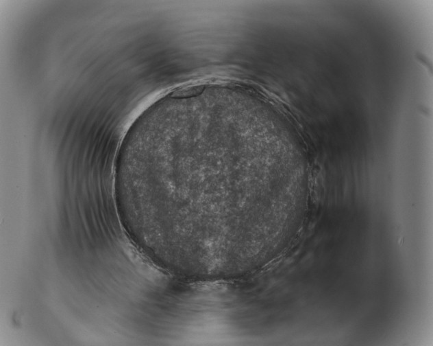 X0000103160100200809121847