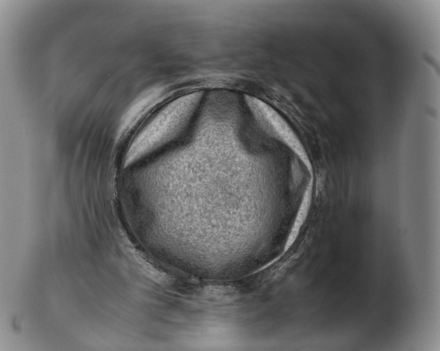 X0000103160101200809121847