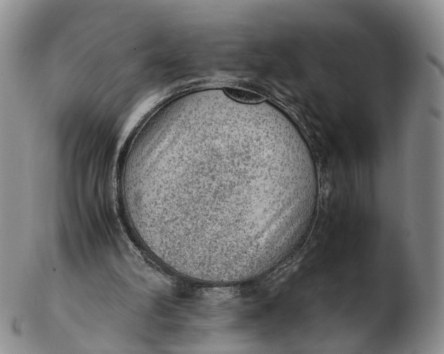 X0000103160102200809121847