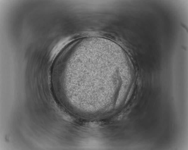 X0000103160103200809121847