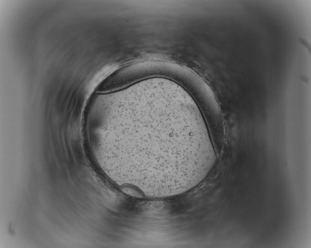 X0000103160104200809121847