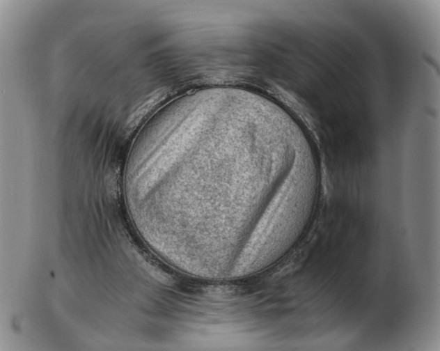 X0000103160105200809121847