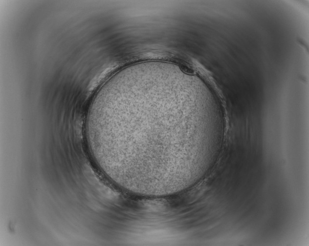 X0000103160106200809121847