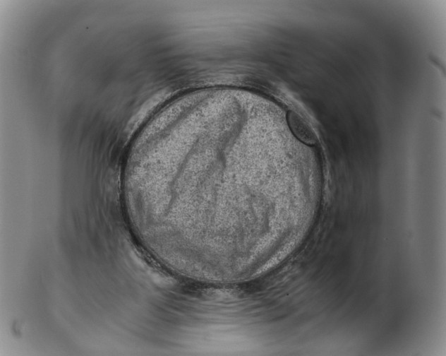 X0000103160107200809121847