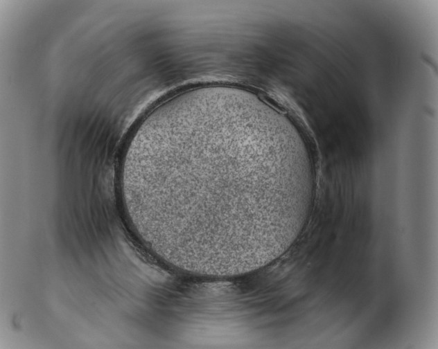 X0000103160108200809121847