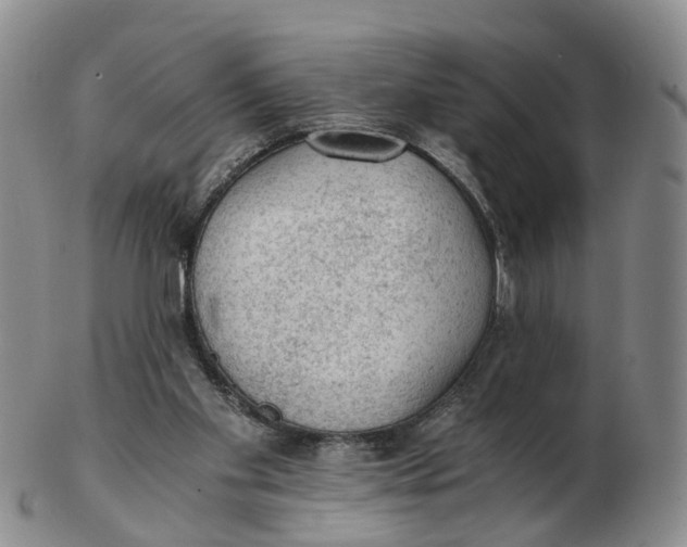 X0000103160109200809121847