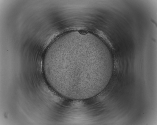 X0000103160110200809121847