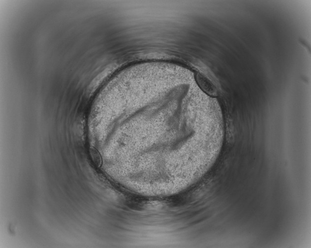 X0000103160111200809121847