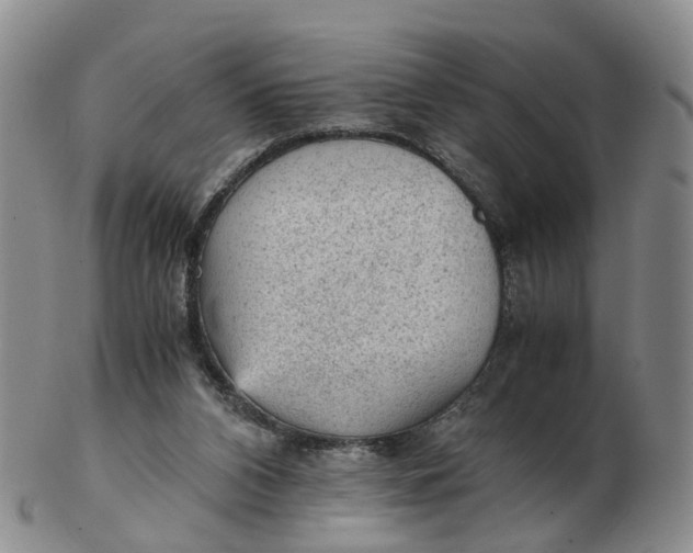 X0000103160112200809121847