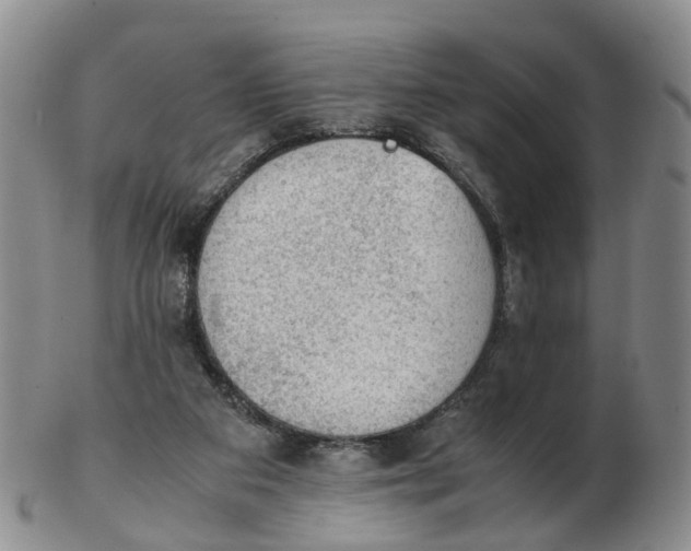 X0000103160113200809121847