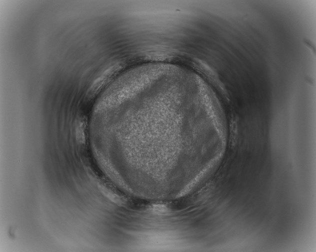 X0000103160114200809121847