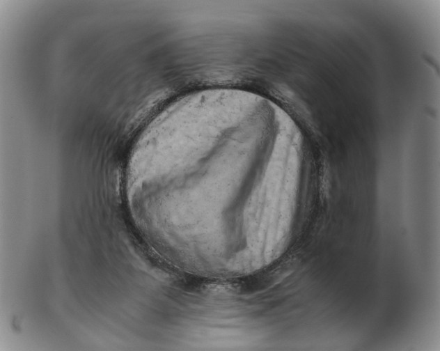 X0000103160115200809121847