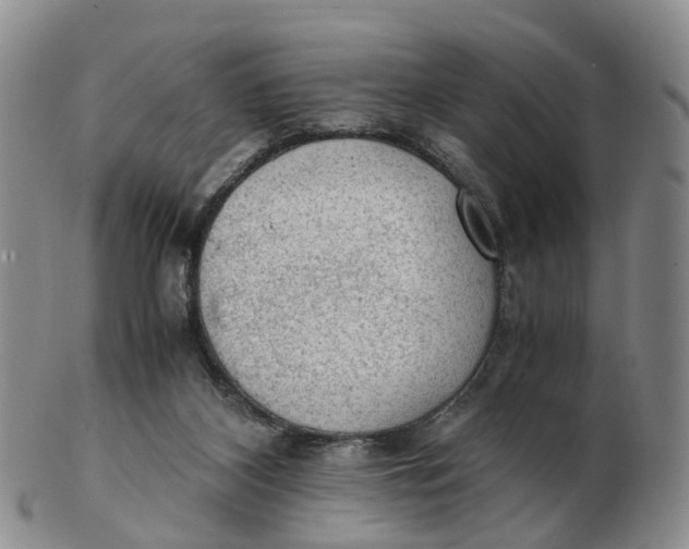 X0000103160116200809121847