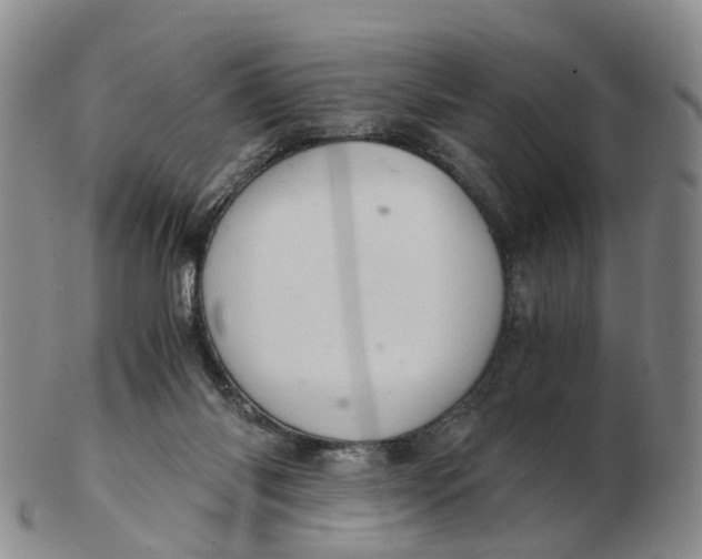 X0000103160118200809121846