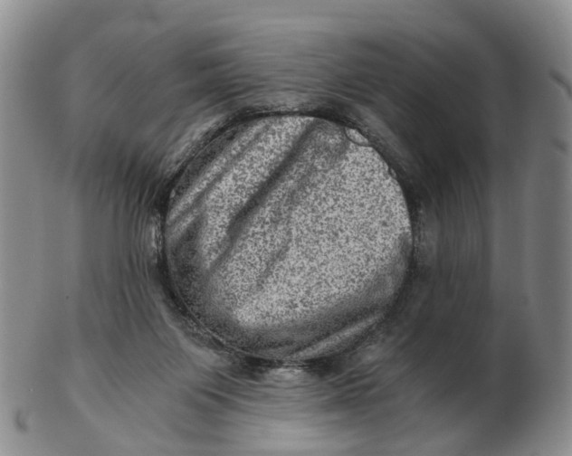 X0000103160119200809121846