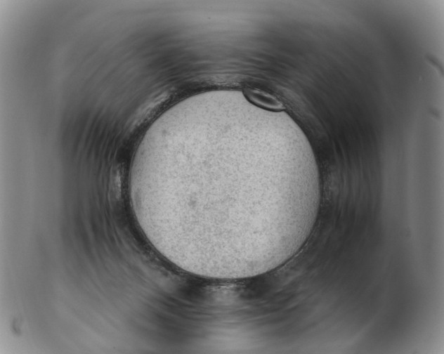 X0000103160120200809121846