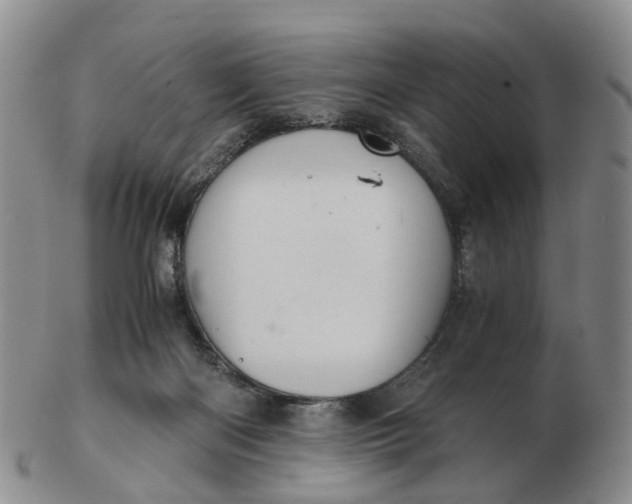 X0000103160122200809121846