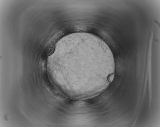 X0000103160123200809121846