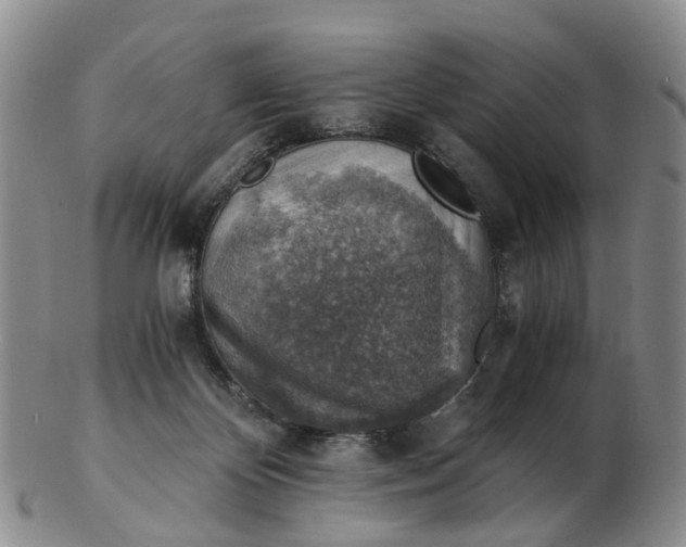 X0000103160124200809121846