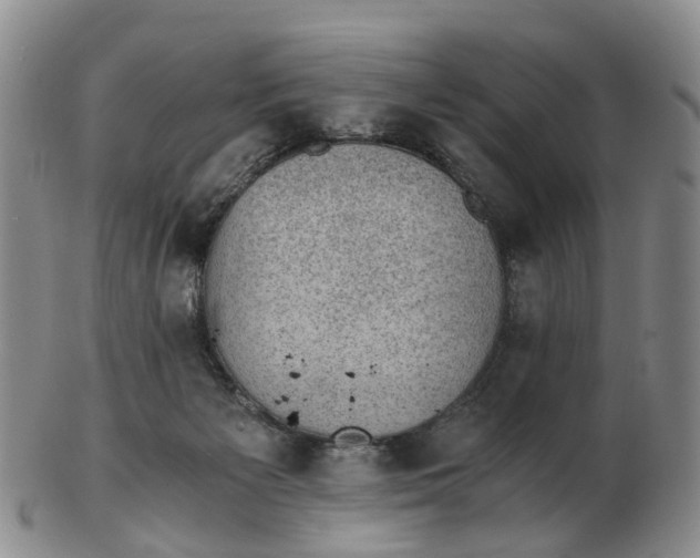 X0000103160125200809121846