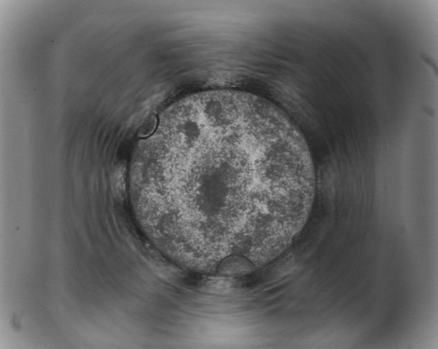 X0000103160127200809121846