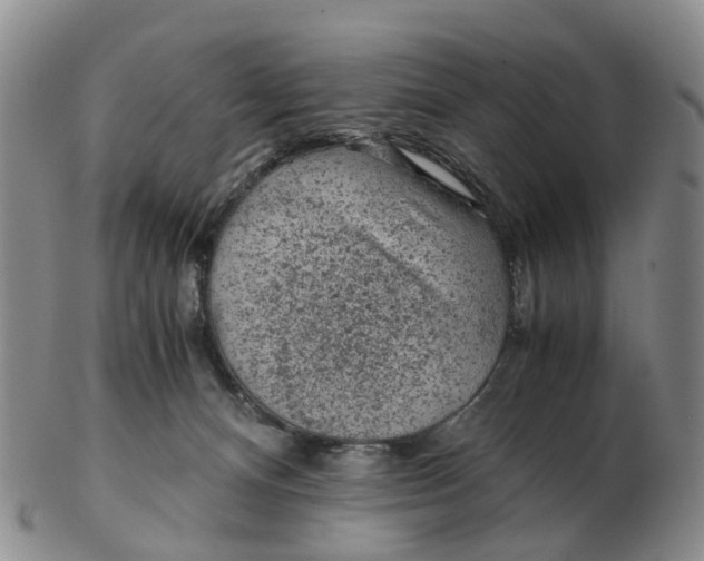 X0000103160128200809121846